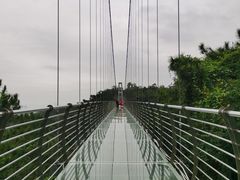 -南丹山森林王国