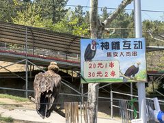 -西霞口神雕山野生动物世界