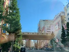 -秋叶原电器街