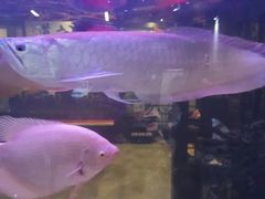 -秦桥足道·SPA·影院(万达店)