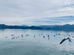 -丽江泸沽湖景区