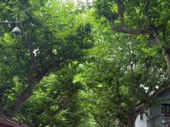 -上海孙中山故居纪念馆