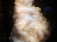 -中国地质大学逸夫博物馆