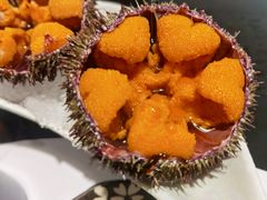 空运活海胆-天狗山料理(省体店)