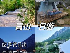 -禅宗少林·音乐大典