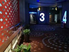 -万达影城(汉街万达广场IMAX店)