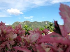 -毛公山瞻仰区售票处