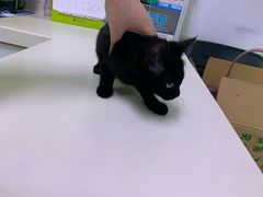 -宠颐生中康贝怡动物医院