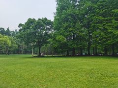 -上海滨江森林公园