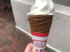-富豪雪糕车流动点(尖沙咀店)