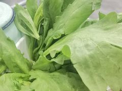 -岳合轩老北京涮肉