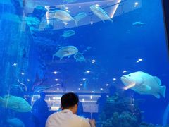 -成都浩海立方海洋公园