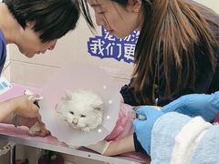 -北京观赏动物医院·24小时大型综合·猫专科·异宠专科