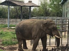 -西安秦岭野生动物园