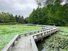 -白塘生态植物园