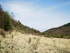 -白草畔自然风景区