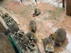 -杭州野生动物世界