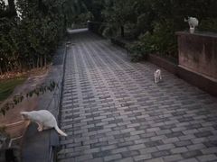-FEELINGME乐刻私教馆·健身(沿海赛洛城店)
