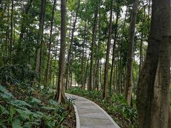 -云溪植物园