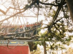 -红螺寺