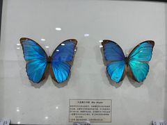-沈阳植物园