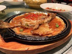 -毛家饭店(澳德乐店)