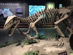 -自贡恐龙博物馆