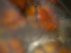 -乡乐园蟹庄·阳澄湖农家乐