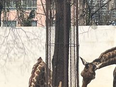 -昆明动物园