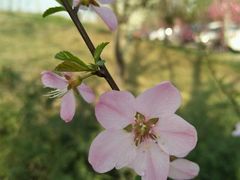 -意大利农场度假村