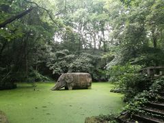 -紫霞湖公园