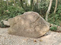 -上海佘山国家森林公园天马山园