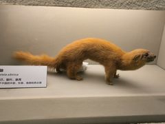 -舟山博物馆