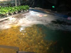 -石家庄海洋公园