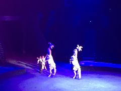 -珠海横琴长隆《卡卡虎奇遇记》