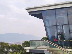 -金鸡山公园