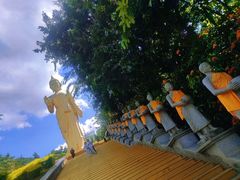 -西双版纳勐泐文化旅游区