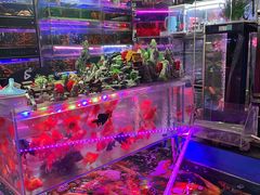 -双季花艺园艺市场(浦东店)