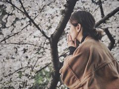 -武汉大学-樱园