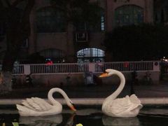 -白天鹅宾馆·流浮阁咖啡厅