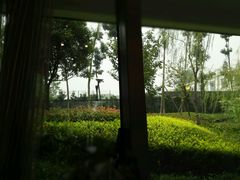 -成飞公园
