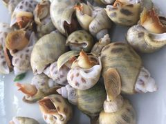 -乡味海鲜农家菜·巽寮土窑鸡(地道美食店)