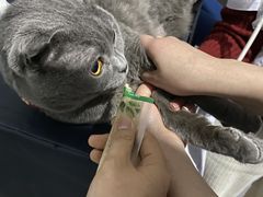 -瑞派名望24h动物医院异宠专科·猫专科·骨科·重症监护分院