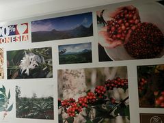 -巴厘岛黄金金兔咖啡工厂