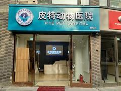 -皮特动物医院(24小时店)