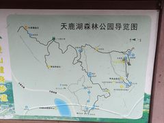 -天鹿湖森林公园