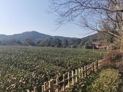 -中国茶叶博物馆(双峰馆区)