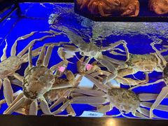 -蟹道乐(道顿堀本店)