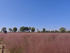 -汉长安城未央宫国家考古遗址公园