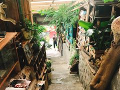 -懒鱼时光馆(沙坪坝店)